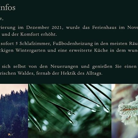 Ferienhaus Bayerischer Wald Regen Exteriör bild