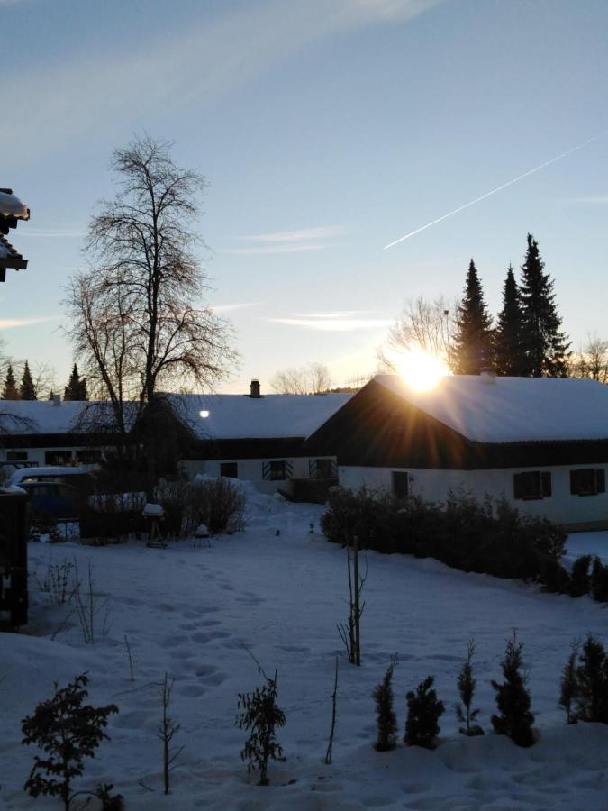 Ferienhaus Bayerischer Wald Regen Exteriör bild