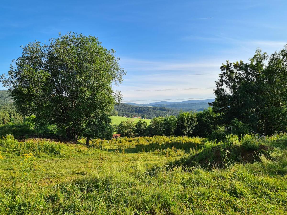 Ferienhaus Bayerischer Wald Regen Exteriör bild